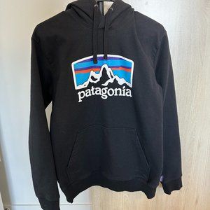 Patagonia mens hoodie